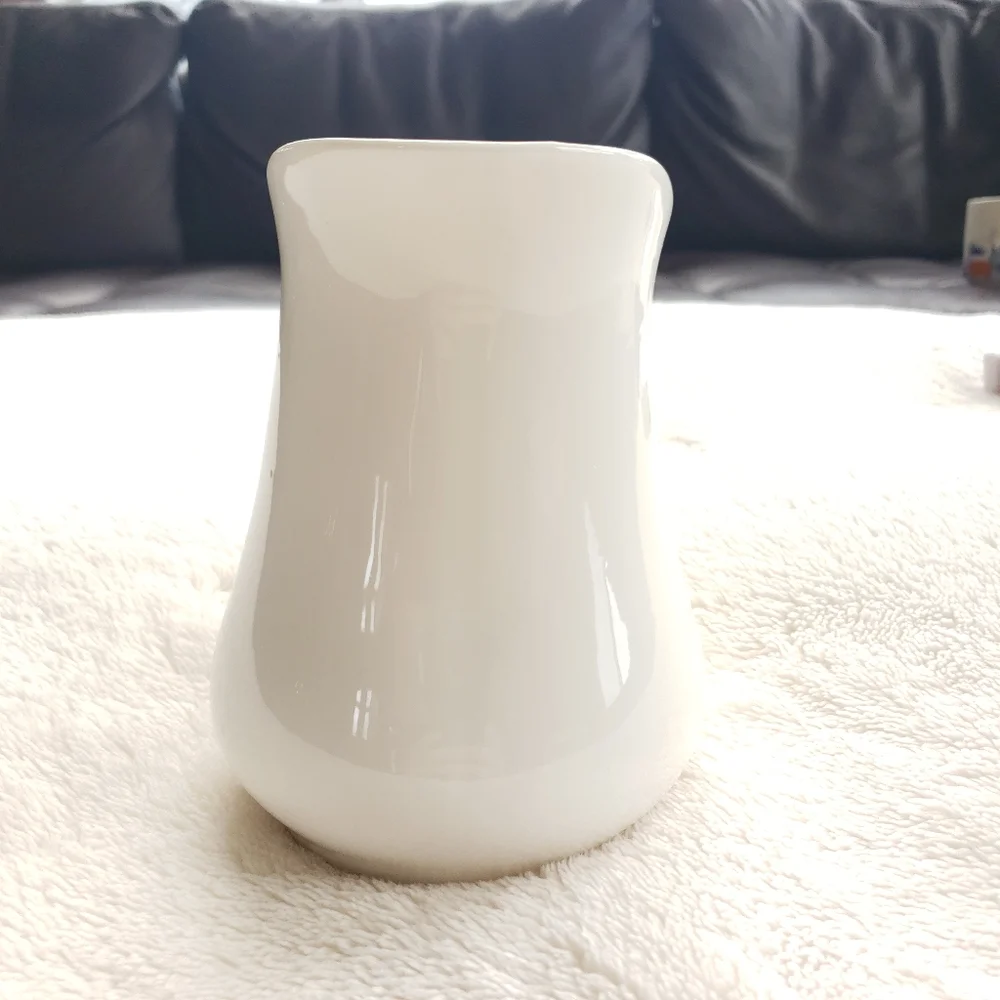 Pier 1 Pitcher